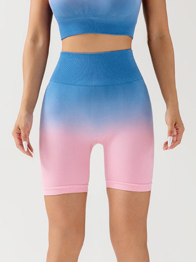 Gradient Seamless Breathable Sports Yoga Shorts & Top Set
